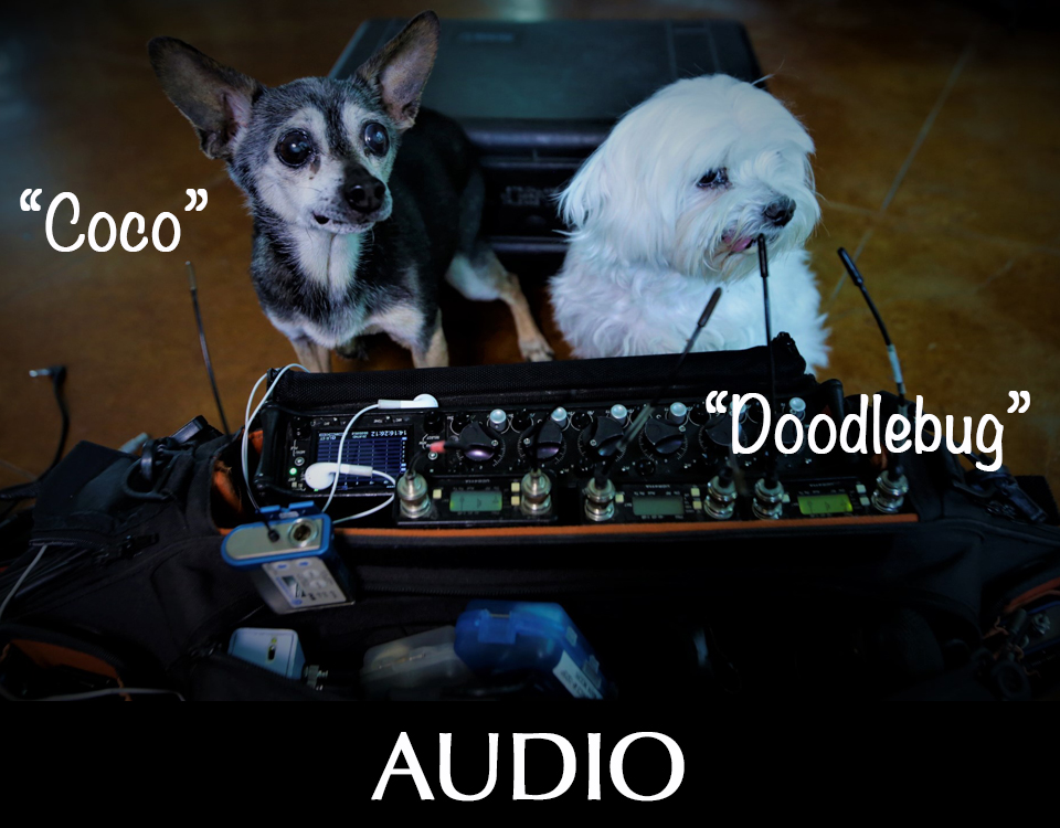 Audio gear with dogs named Coco and Doodlebug