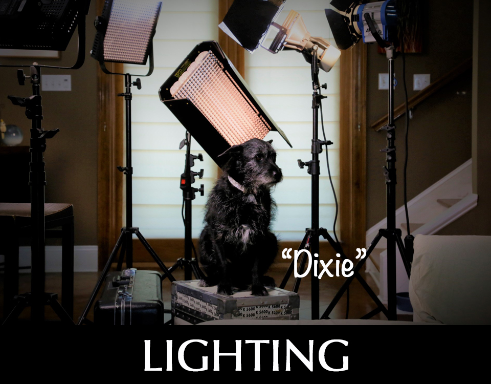 Lighting equipment with dog named Dixie